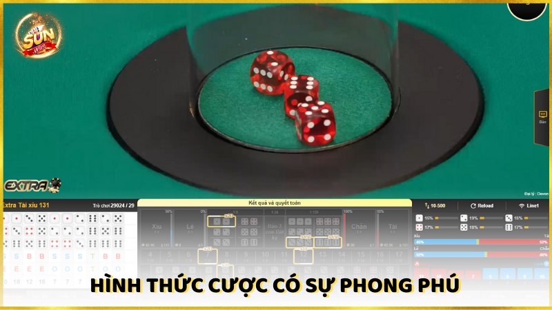 Hinh Thuc Cuoc Co Su Phong Phu